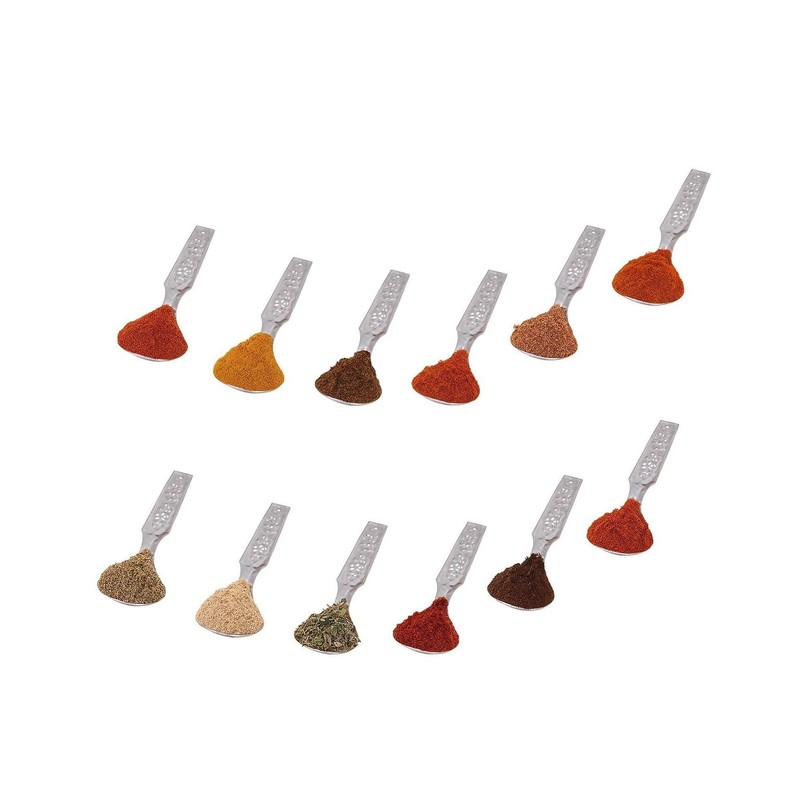 Mini Spoon Set of 12 for Spice Box Small Stainless