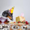 96PCS Dog Plates and Napkins Party Supplies Dachshund Birthday Party