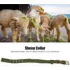 LATRAT Pack of 2 Adjustable Thick Dog Collars, Sheep Collar,