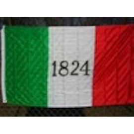 Alamo Flag 1824