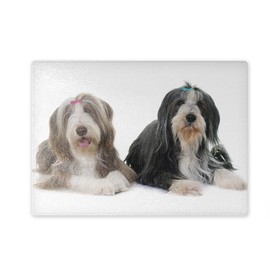 Glass Chopping Board 20 x 28 x 0.4 cm with Bearded Collie Two Animals Lying Down | 01