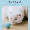 Smart Rolling Ball USB Rechargeable Quiet Relieve Boredom Interactive Cat