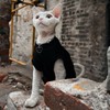 Sphynx Cat Clothes Summer Clothes Cotton Stretch and Comfortable Hairless