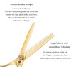 Dream Reach Hairdressing Scissors Sharp Thinning Scissors Japanese Stainless Steel