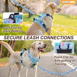 BEAUTYZOO No Pull Dog Harness Large, Adjustable Dog Harness and Leash Set -Easy Wearing with 3 Buckles/Control Handle,No Choke Soft Padded Reflective Pet Vest for Training Walking Hiking,Blue L