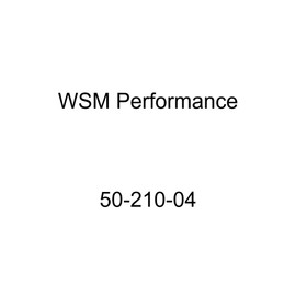 WSM Performance 50-210-04 Piston and Ring Kit