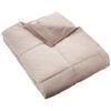 Modern Threads Down Alternative Microfiber Quilted Reversible Comforter & Duvet