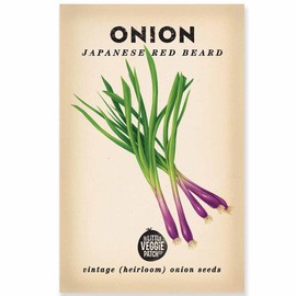 The Little Veggie Patch Co Onion “Japanese Red Beard” Heirloom Seeds, 1 pack