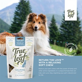 True Leaf Calming Support Chew 200G