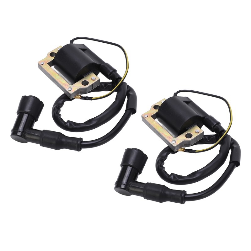 1 Pair Ignition Coil Low Emissions and Fuel Consumption Heat