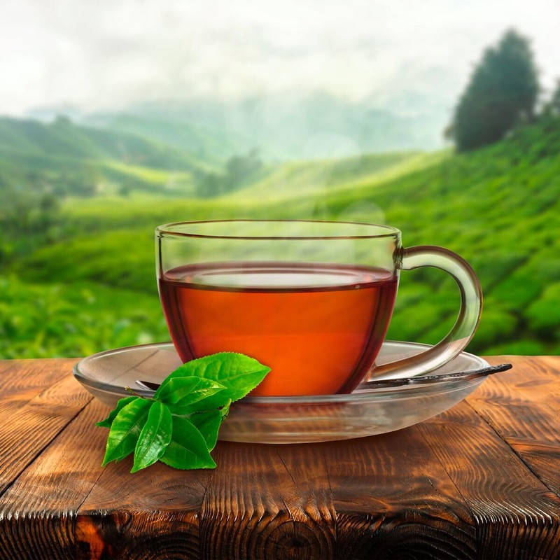 Red Rose Orange Pekoe Tea (216)