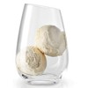 Eva Solo 541041 drink glass, mouth-blown glass, one size