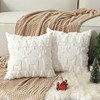 Lewondr Christmas Throw Pillow Cover 18x18, Set of 2 Super