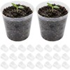 SUPVOX 50pcs Clear Orchid Pots with Drainage Holes, 1.5 Inch