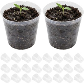 SUPVOX 50pcs Clear Orchid Pots with Drainage Holes, 1.5 Inch Mini Plastic Nursery Pots for Root Observation, Small Seedling Starter Cups for Succulents, Cuttings, and Propagation (Transparent)