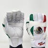 RCP Mexico Flag Baseball and Softball Batting Gloves – Rip
