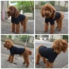 Lovelonglong Pet Clothing Dog Costumes Basic Blank T-Shirt Tee Shirts