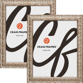 Craig Frames Versailles, 12x28 Picture Frame, Ornate Silver, Set of 2