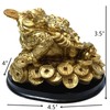 Feng Shui Money Frog (Three Legged Toad) Hold Two Ignots