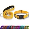 Maiiu Reflective Dog Collar with Safety Locking Buckle, Adjustable Soft