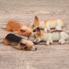 (moin moin) Dog, Dog, Fluffy, with Bed, Dog, Realistic Figure,
