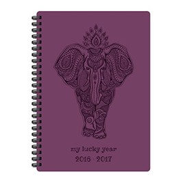 Pierre Belvedere Wire Bound Printed Medium Academic Agenda (4400031)