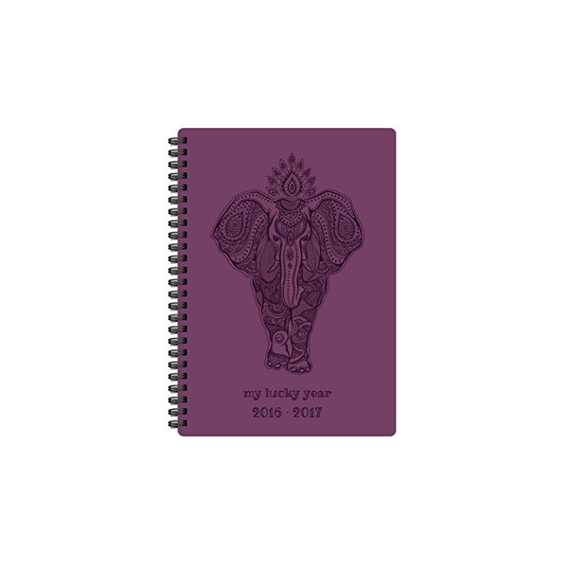 Pierre Belvedere Wire Bound Printed Medium Academic Agenda (4400031)