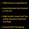 Jasmine and Mint Green Tea, Pyramid Tea Bags, Camellios (25