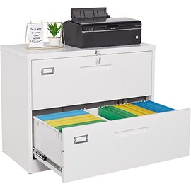 Fesbos Lateral File Cabinet with Lock, 2 Drawer Large Metal Filing Cabinet,Home Office Lockable Storage Cabinet for Hanging Files Letter/Legal/F4/A4 Size-Assembly Required