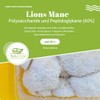 Natur Total Lions Mane Capsules 120 Lion's Mane Mushroom Complex