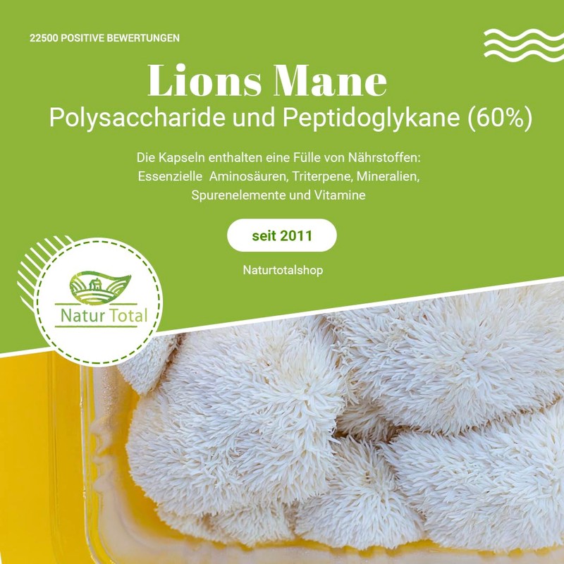 Natur Total Lions Mane Capsules 120 Lion's Mane Mushroom Complex