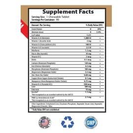 PETS HEALTH SOLUTION dog vitamins for hip and joint - ULTRA VITAMINS 1B - dog vitamin b supplement