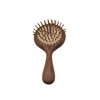 Wooden Hair Brush Air Cushion Comb Wide Tooth Comb for