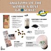 Royal Palm | Seed Grow Kit | The Jonsteen Company