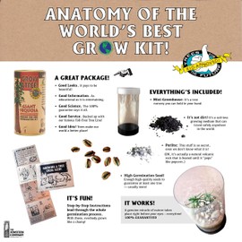 Royal Palm | Seed Grow Kit | The Jonsteen Company