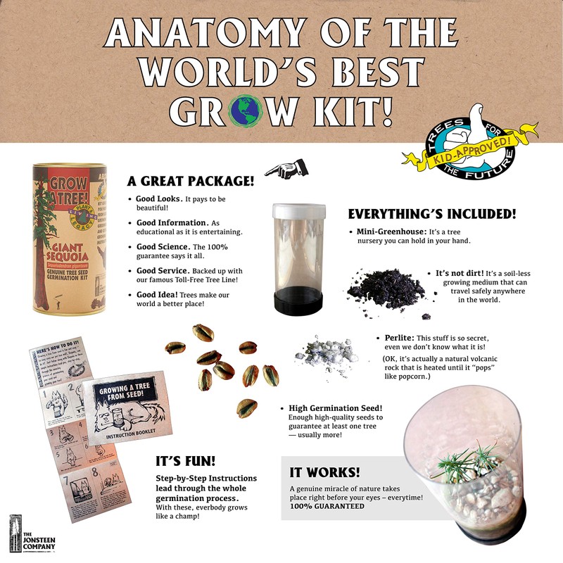 Royal Palm | Seed Grow Kit | The Jonsteen Company