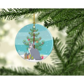 Caroline's Treasures American Polydactyl #2 Cat Merry Christmas Ceramic Ornament Christmas Tree Hanging Decorations for Home Christmas Holiday, Party, Gift, 3 in, Multicolor