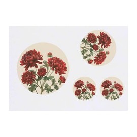 Azeeda 4 x 'Chrysanthemenblüten' Temporäre Tattoos - Wasserfest, Hautfreundlich & Ungiftig · Transfers in Verschiedenen Größen (TO00084506)