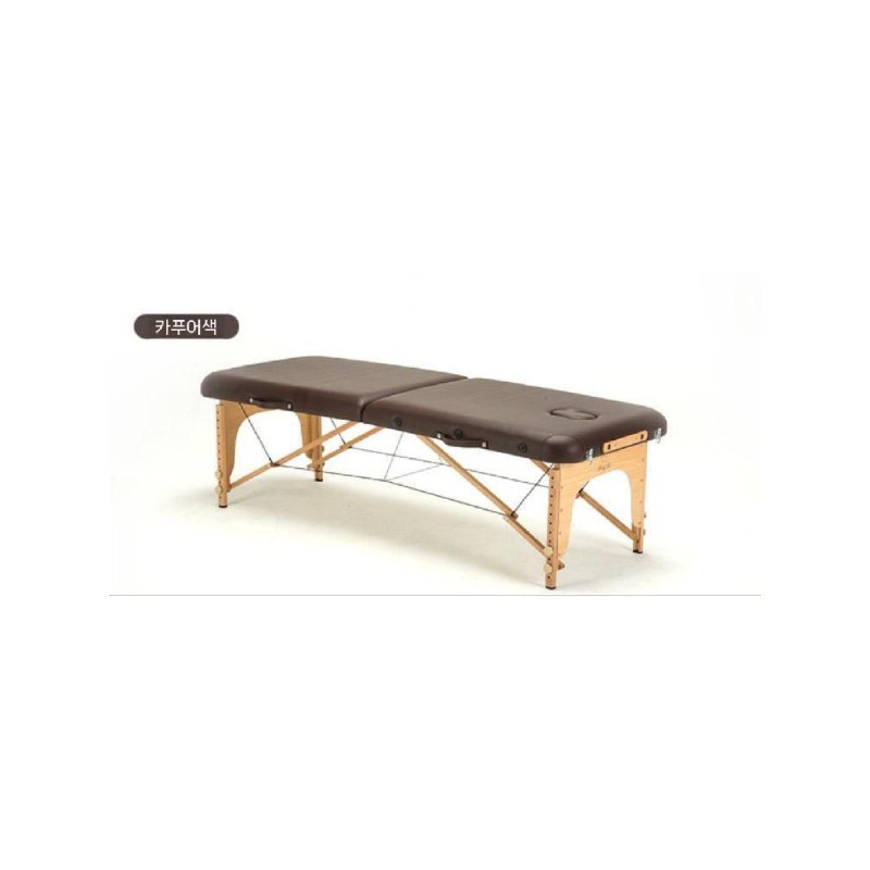 Foldable/Massage/Beauty Salons/Skin Care/Home Use/Portable