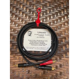 Gotham Audio Lincoln Route 51  Mini-TRS (3.5mm) Breakout Cable  2 meter