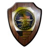 Copytec #21315 Coat of Arms DEVGRU United States Naval Special