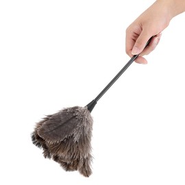 Horoper Natural Fluffy Feather Duster, Avian Ostrich Feather Duster, Mini Hand Washable and Reusable Ostrich Feather Dust Collector, Suitable for Books, Keyboards, Offices, and Homes