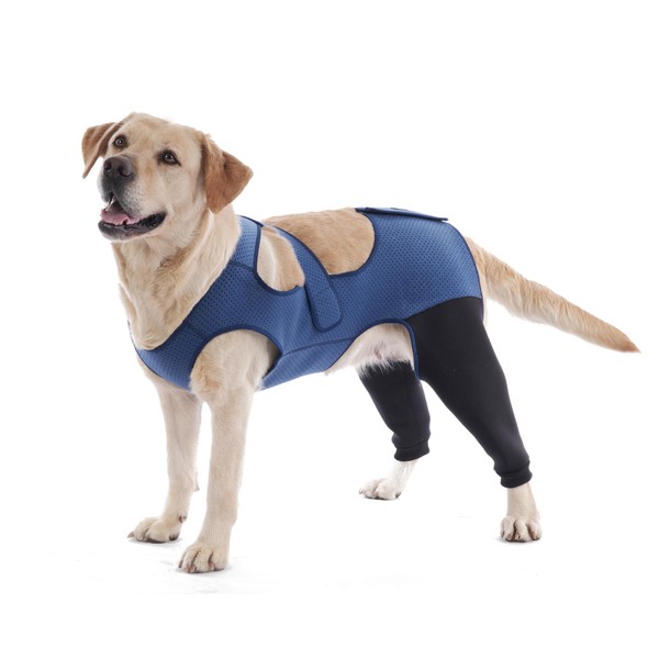 Dog Hind Leg Recovery Sleeve Dog Recovery Suit Breathable Sleeve