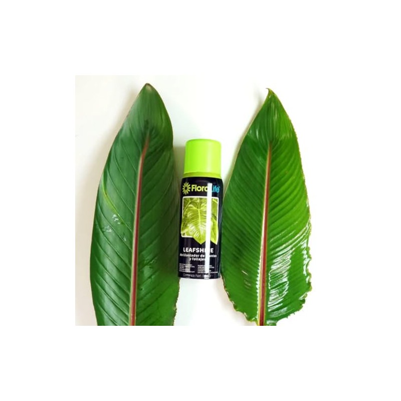 Leafshine Abrillantador para follajes y plantas