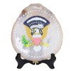 Rockcloud United States President Badge Agate Slab Display with Wooden