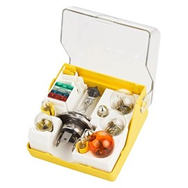 BREHMA Replacement Bulb Box 12 V H4 Set of 14