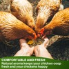 RAINFLOW Chicken Nesting Herbs - 10oz Natural Dried Herb Blend