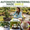 Blumat Clear Globe Single Pack - Automatic Watering Stake with