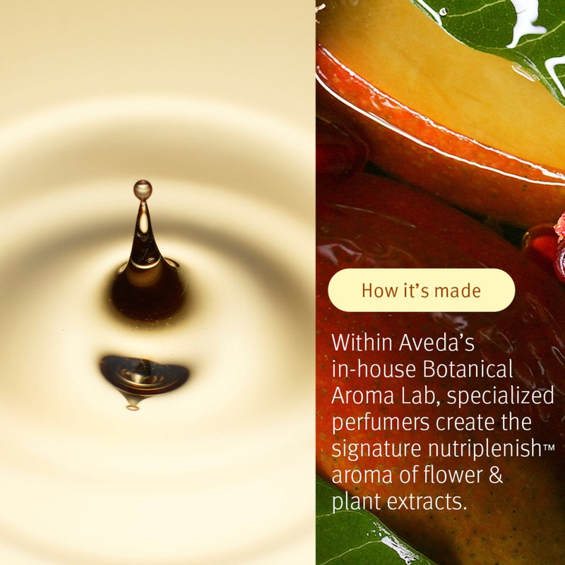 Aveda Moisture Marvels: Nutriplenish™ Hydrating Essentials Light