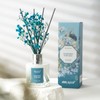 Airkeep Reed Diffuser Set,3.38 fl oz (100 ml) - Ocean